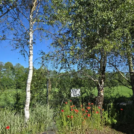 Villa Dom Z Basenem Calorocznym Gostomko