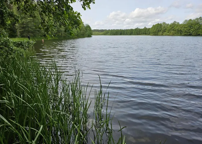 Villa Dom Z Basenem Calorocznym Gostomko